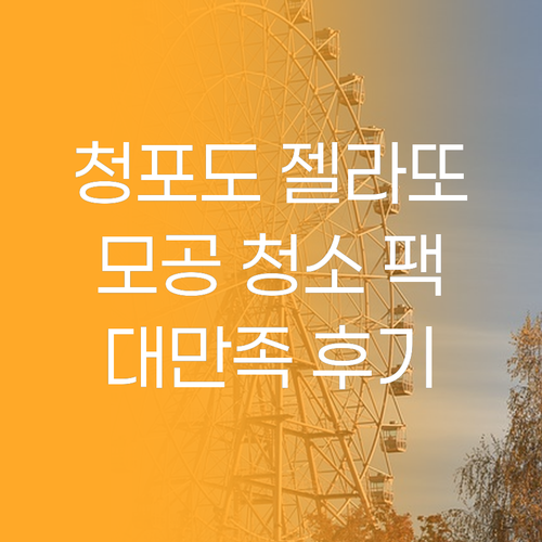 리덴스 청포도 젤라또 팩클렌저 써본 