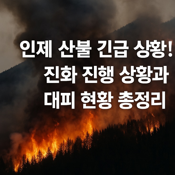 인제 산불 상황