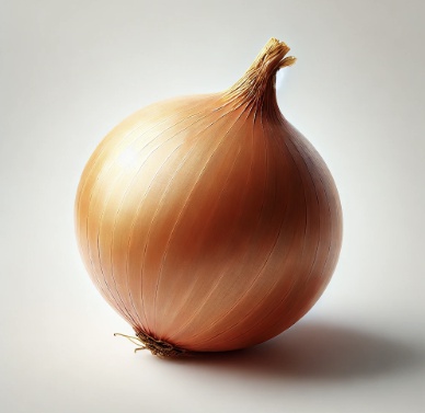 양파