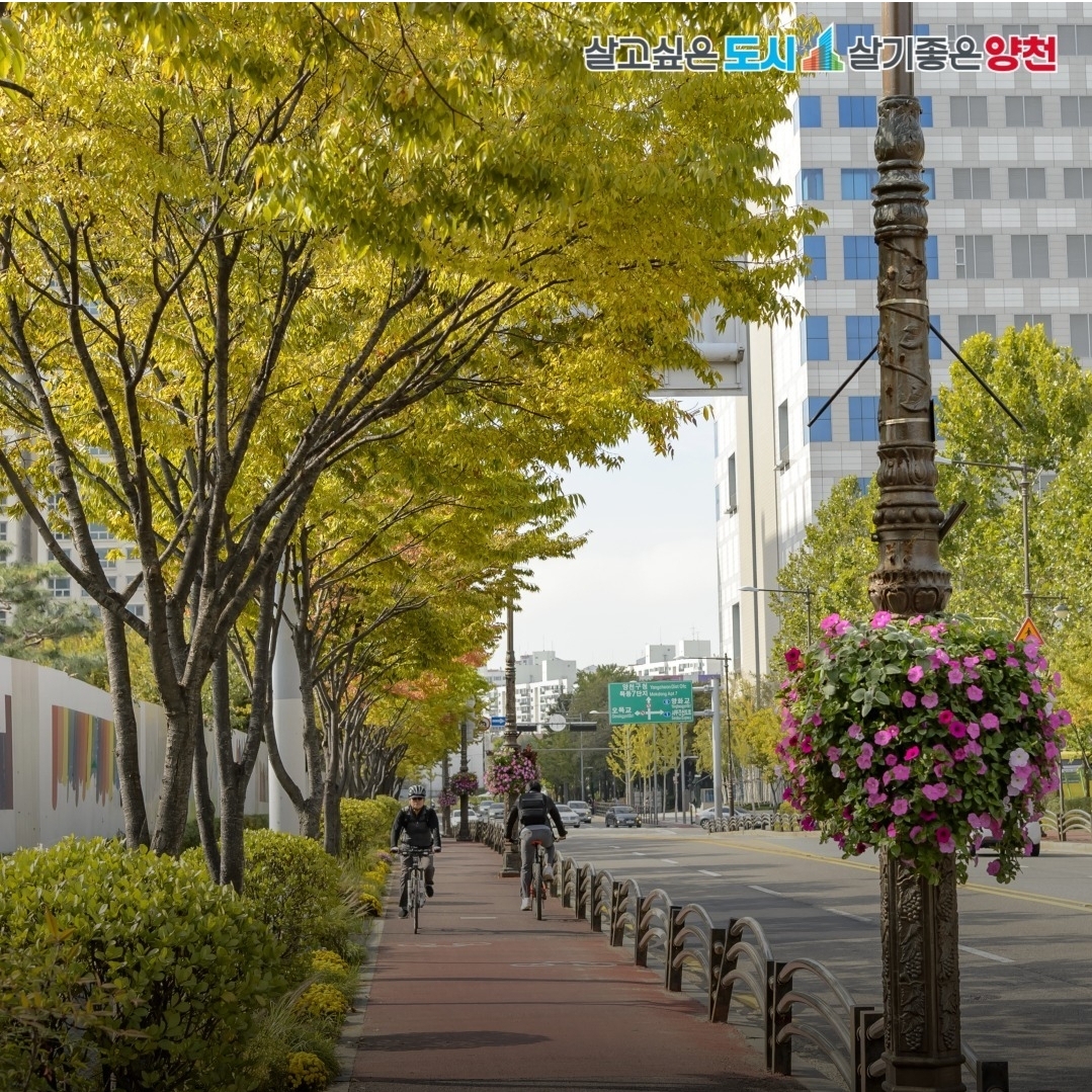 양천구민 자전거보험