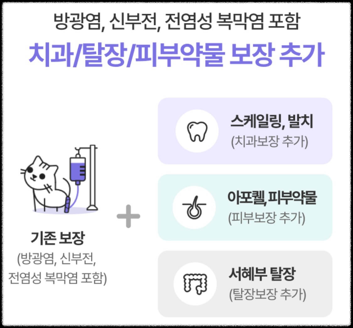펫보험 비교