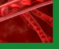 심혈관질환예방