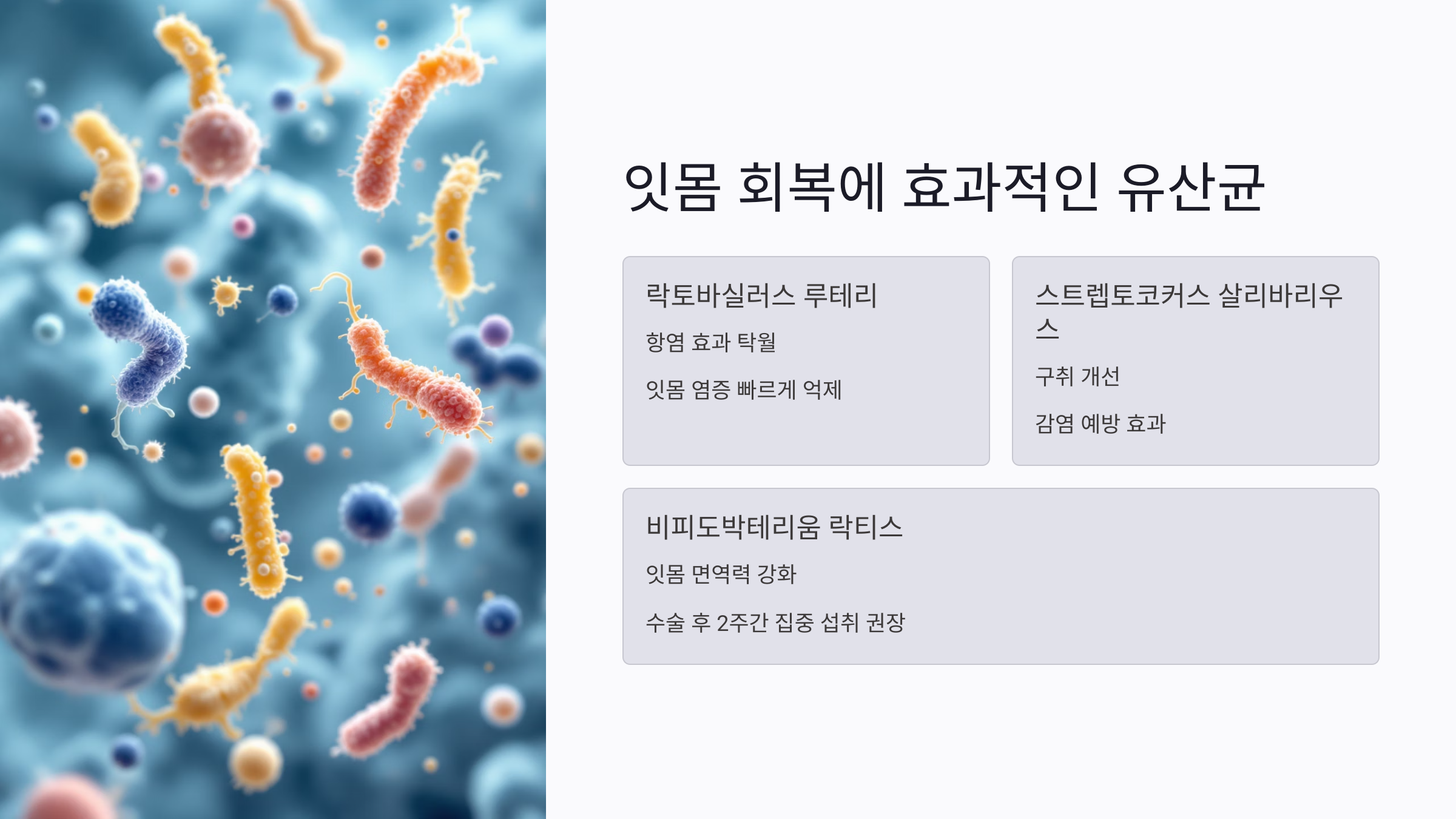 감염 예방과 임플란트 전후 루틴에서 유산균의 역할