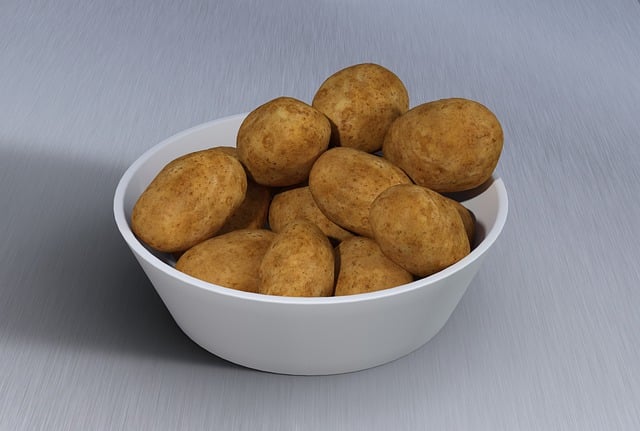 귀농 귀촌 지원 정책 BEST 5 – 놓치면 손해