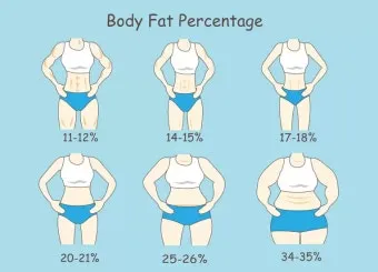 40대 여자 체지방률 평균 20~25% 계산 방법 측정법 다이어트_37