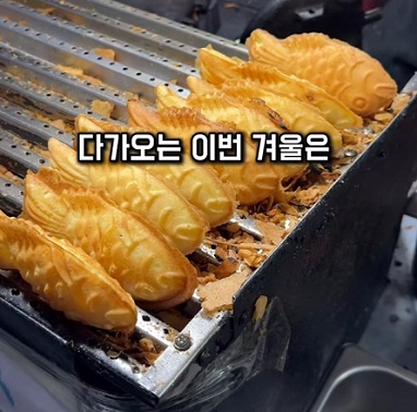 구민지-붕어빵덕후