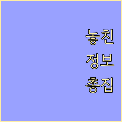 충현동 쓰레기 버리는 법 일반 재활용..