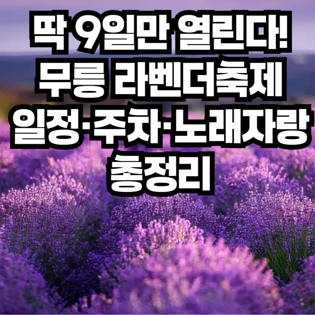 무릉별유천지 라벤더꽃축제 일정·입장료·주차장·태군노래자랑 정보까지 총정리