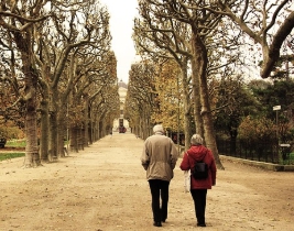 기초연금 신청 방법|언제, 어떻게, 어디서?