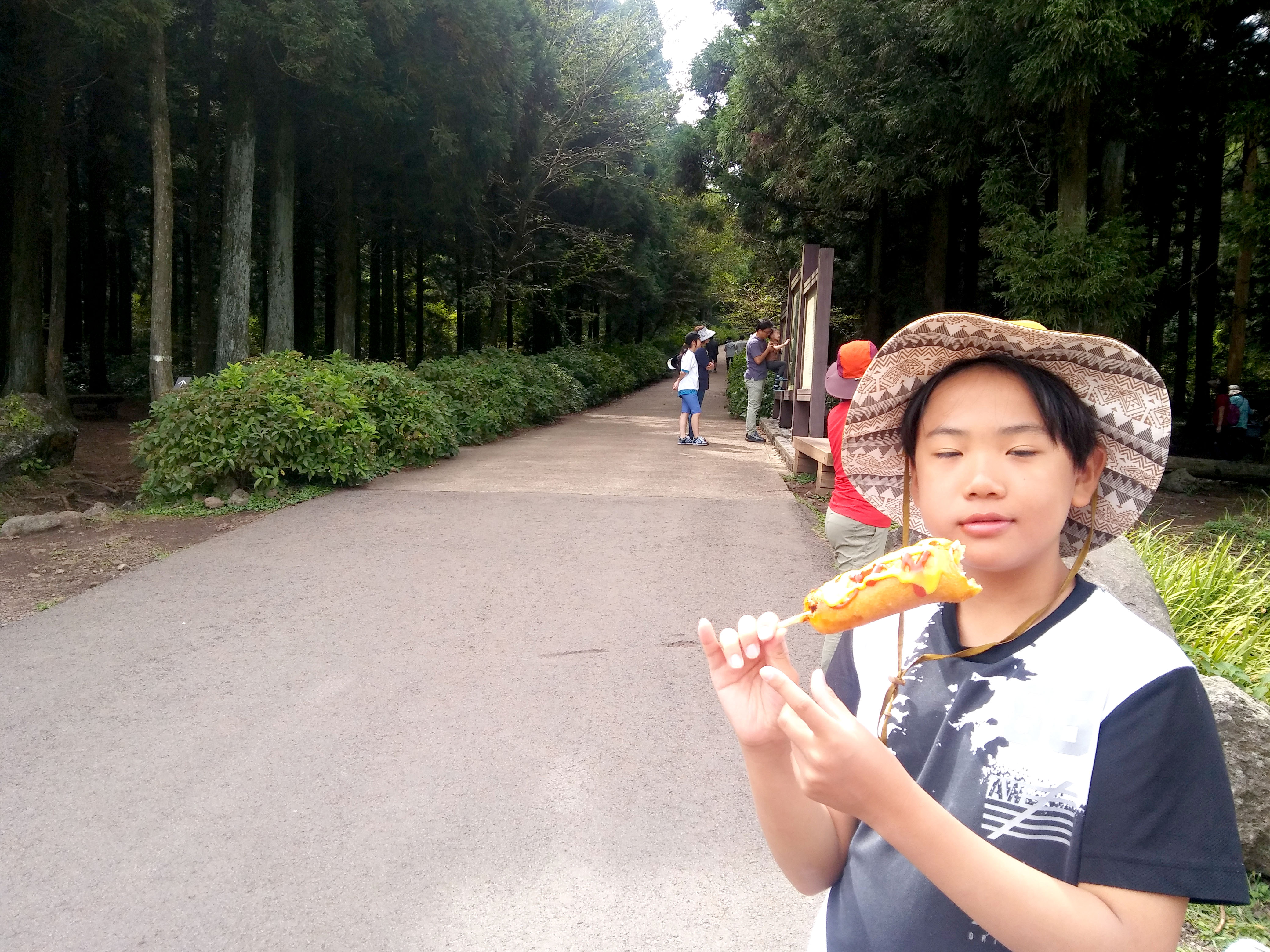 제주 사려니숲길