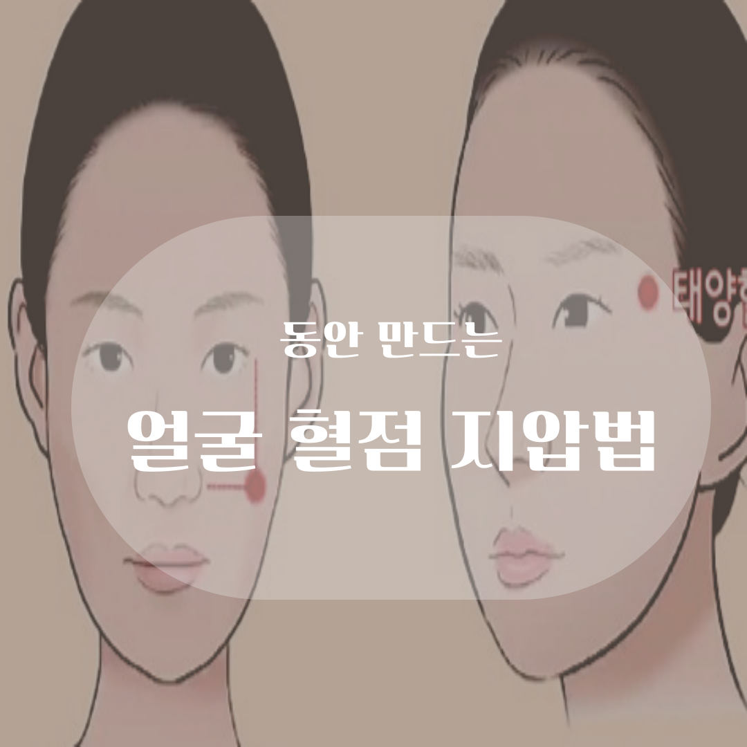 얼굴 혈점