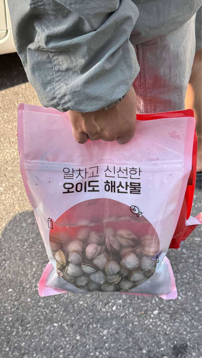 오이도 갯벌체험 동죽