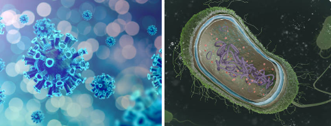 염색체 검사 그림