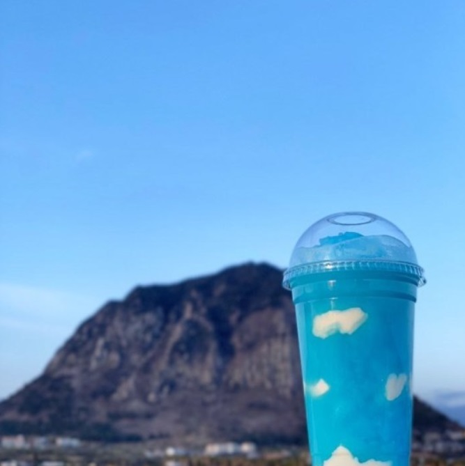 제주도 오션뷰 가성비 숙소 추천