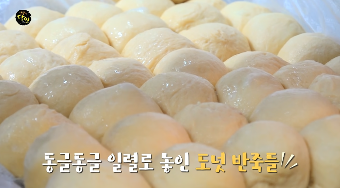 봄볼로네반죽