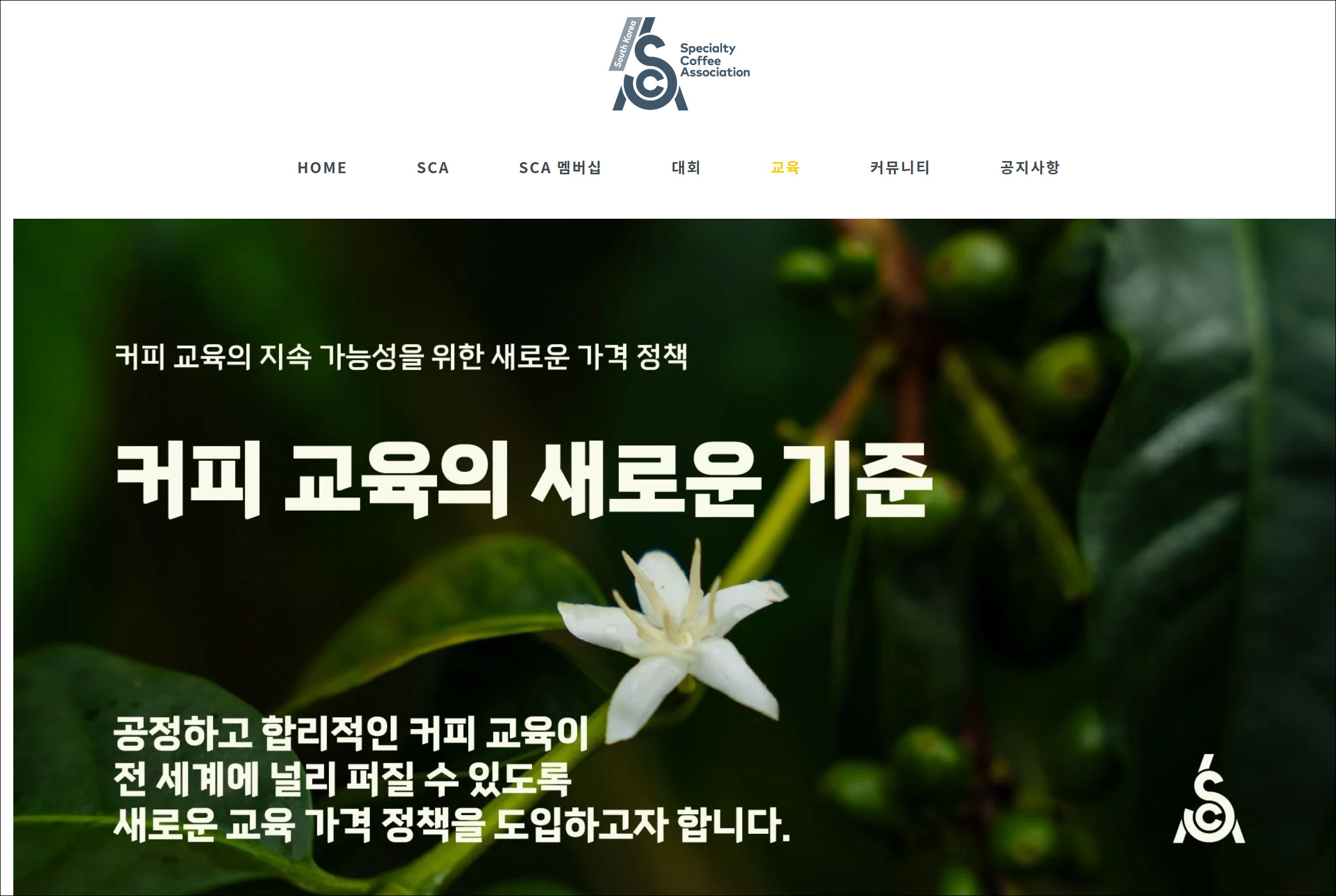SCA 바리스타 자격증은 무엇일까?