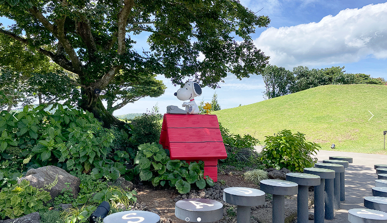 설연휴 제주도여행