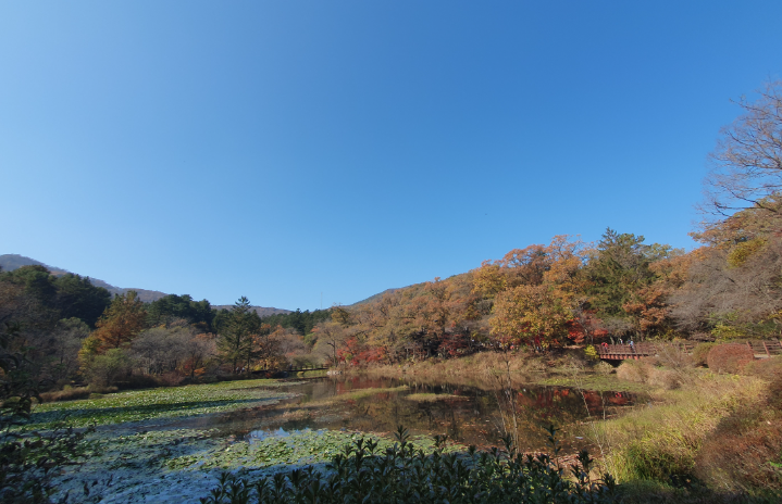 국립 광릉수목원