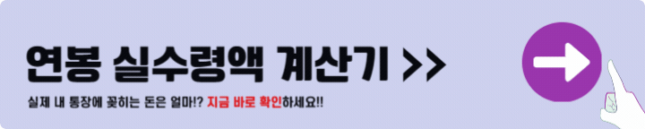 연봉 실수령액 계산기