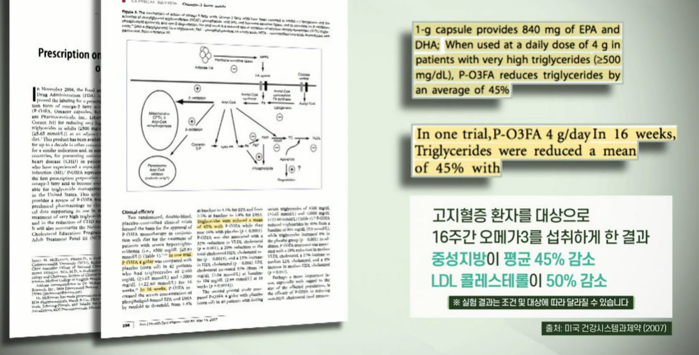 알티지오메가3 효능