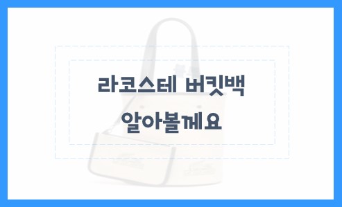 라코스테 버킷백