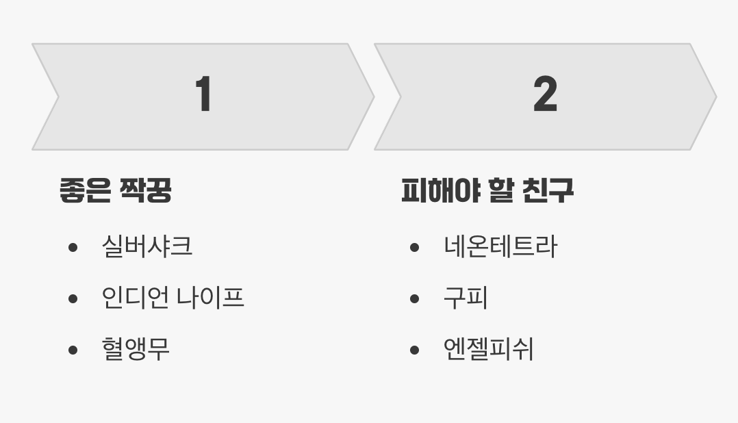 누구와 함께 살 수 있을까? (합사)