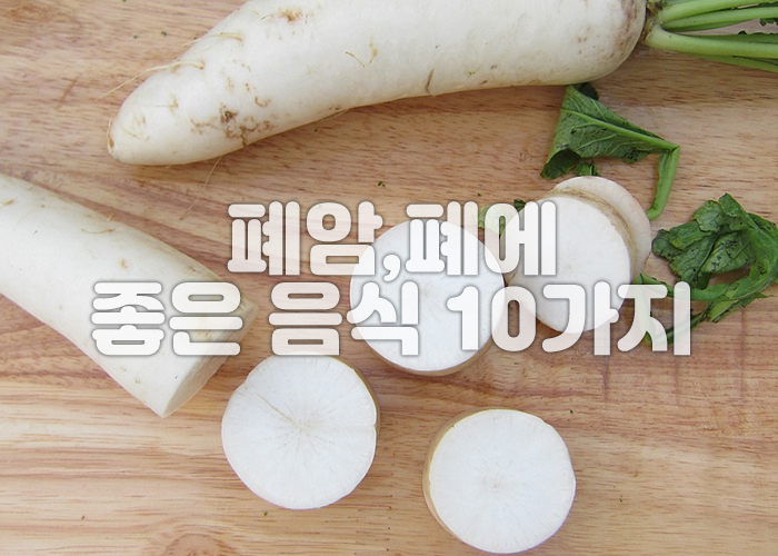무 이미지