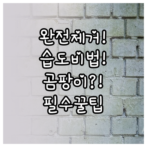 집안 곰팡이 완전 제거와 적정 습도 ..
