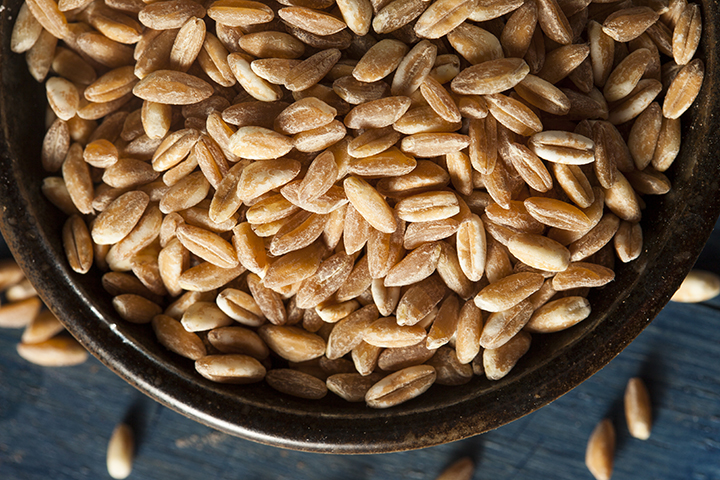 당뇨 식단에 꼭 필요한 곡물 - 파로