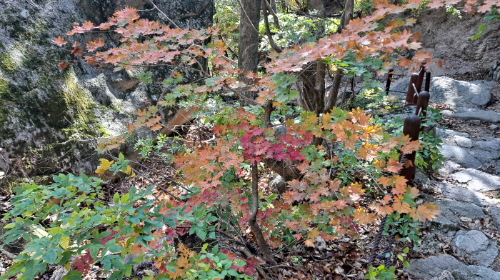 설악산_단풍여행_총정리