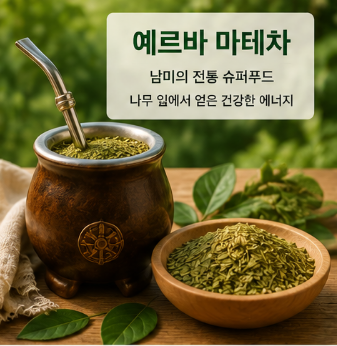 마테차-효능-다이어트-효과-카페인-부작용-추천-제품