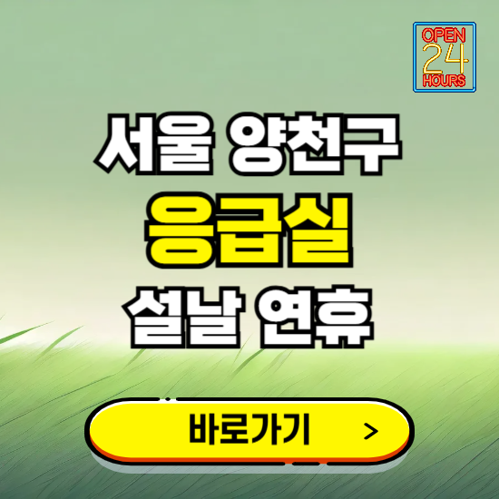 서울 양천구 설날 연휴 비상진료 응급실 병원 찾기 ❘ 내근처 24시 야간 심야 휴일 가능한 곳