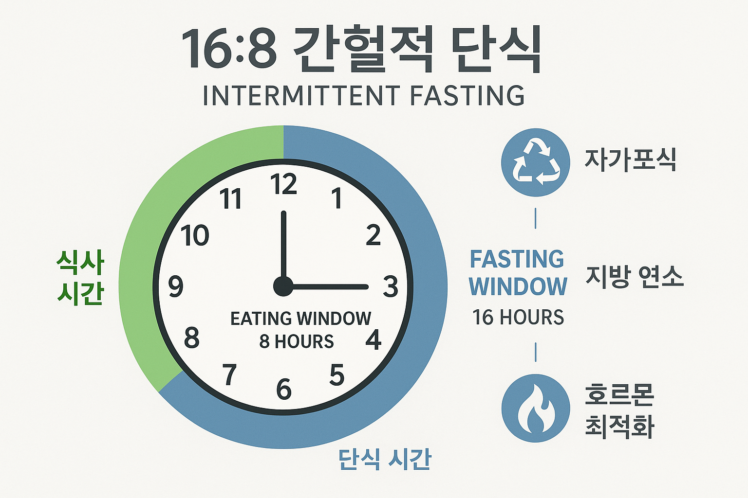 🔥 간헐적 단식 16:8 완벽 가이드 - 2025년 의사들이 인정한 초보자 성공 비법