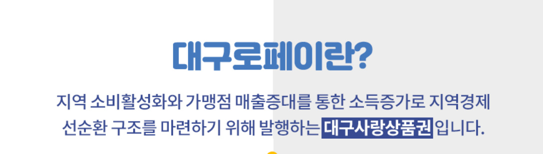 대구로페이 13% 할인