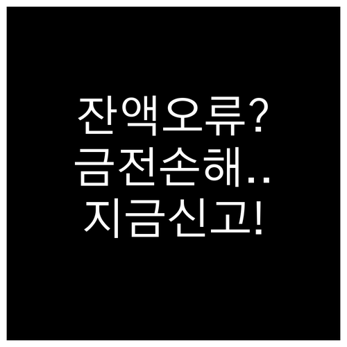 온누리상품권 잔액 표시 오류 및 금전..