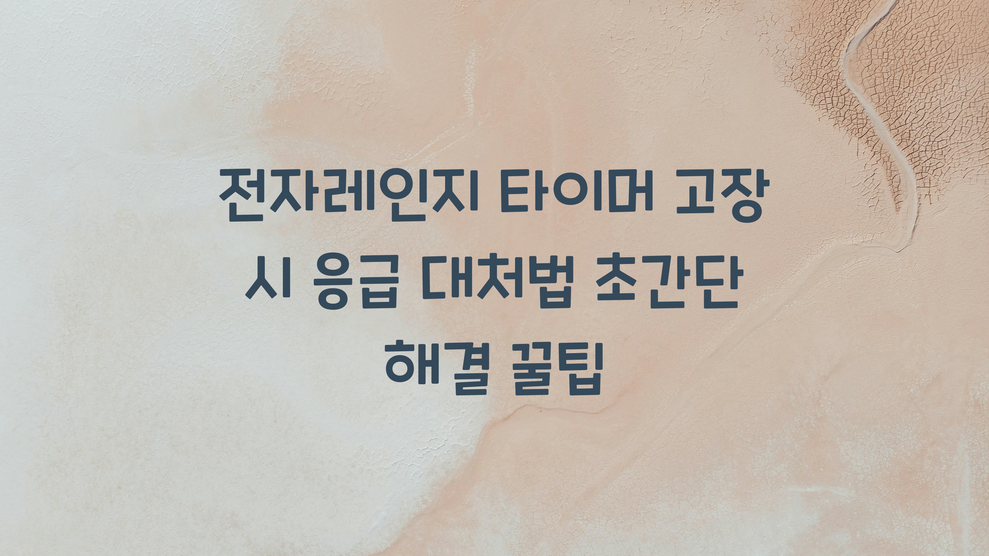 전자레인지 타이머 고장 시 응급 대처법
