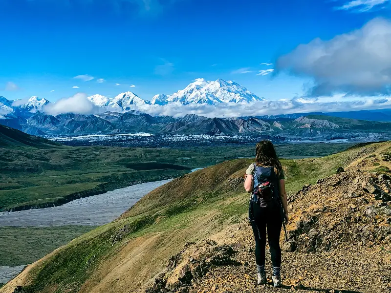 데날리 국립공원(Denali National Park)