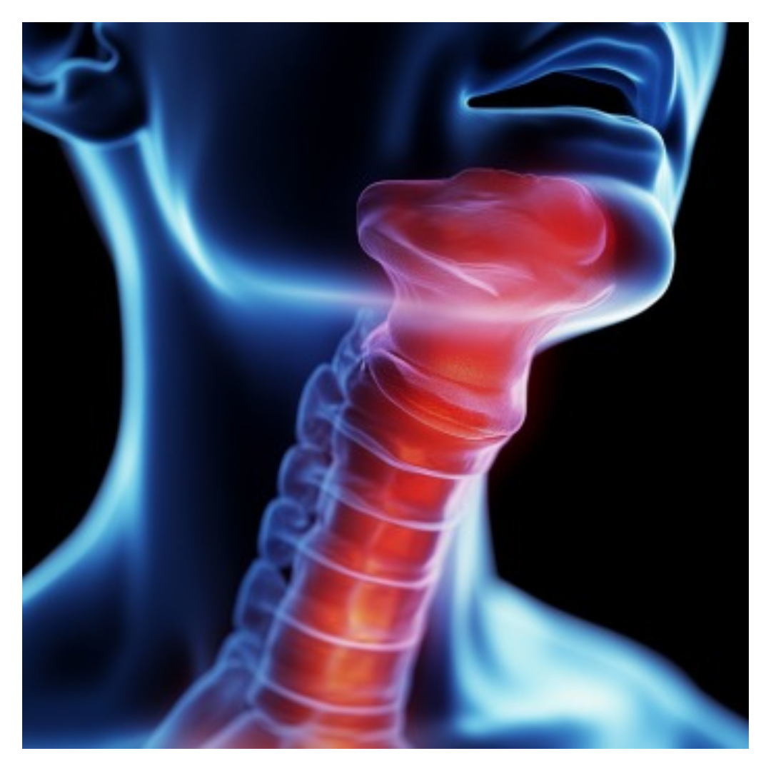 갑상선 기능 저하증과 관련된 사진입니다.