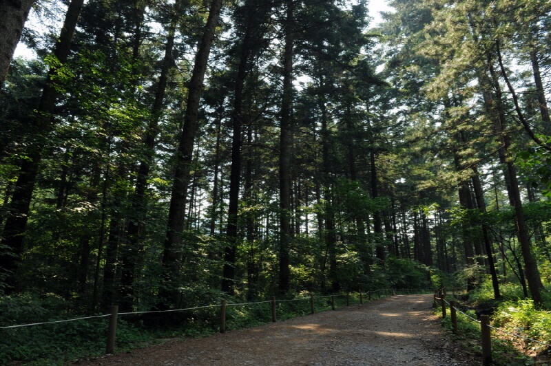 포천 국립수목원 광릉수목원 예약