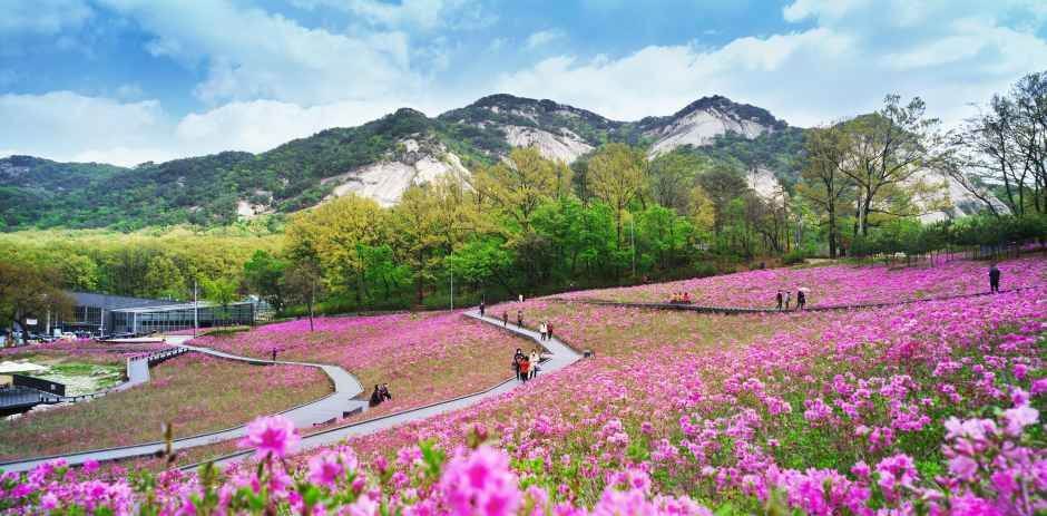  불암산 철쭉축제 가는길, 주차장, 지하철