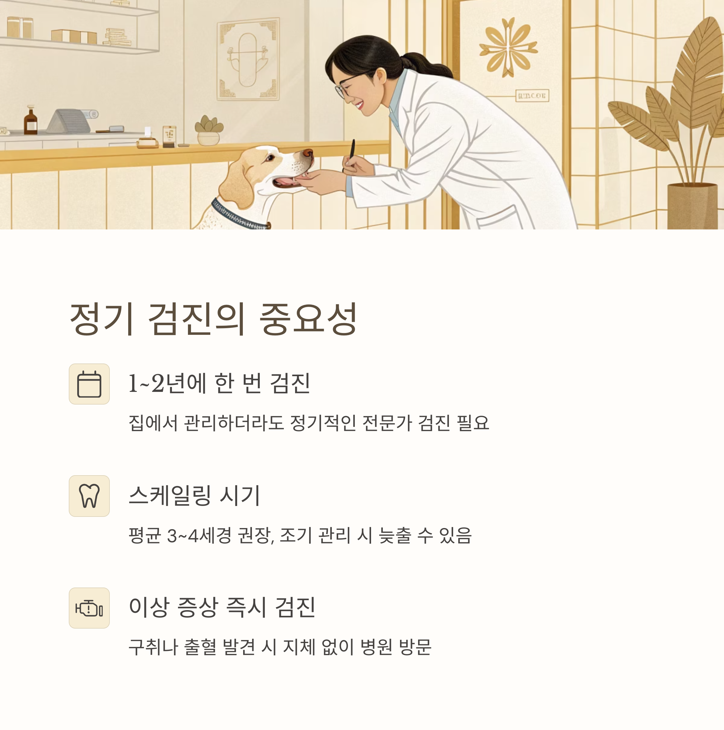 정기 검진의 중요성