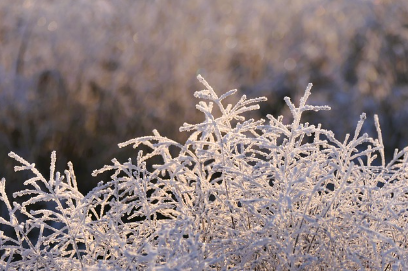 달성군 도시가스 고객센터 전화번호(대성에너지 직통번호)