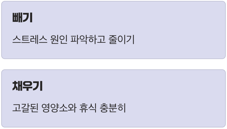 지친 부신을 위한 재충전 솔루션