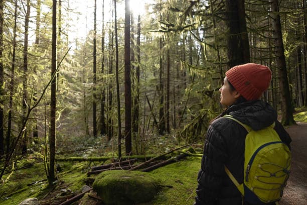 웰니스 여행: 몸과 마음을 치유하는 새로운 휴가 트렌드