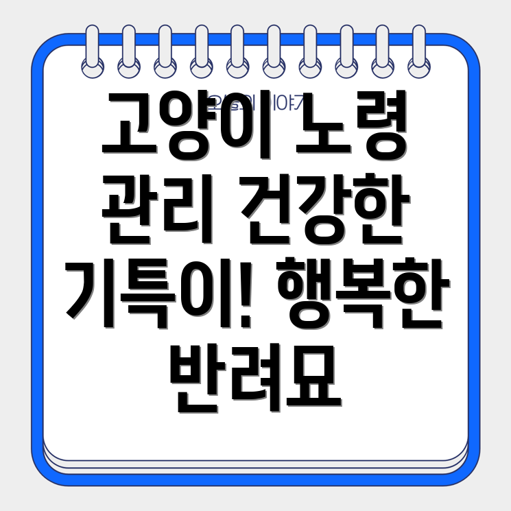고양이 만성신부전 관리법