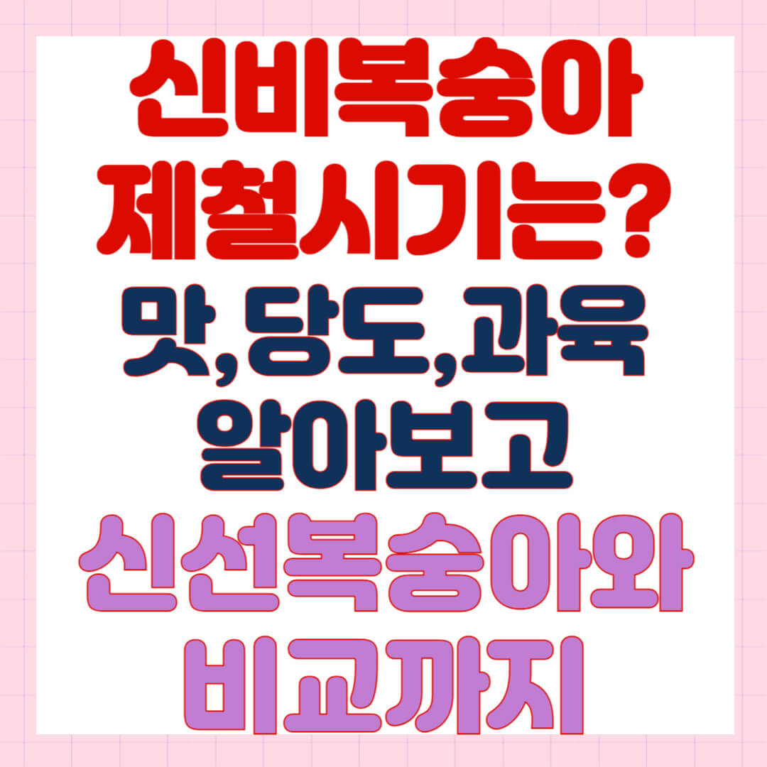 신비 복숭아 제철 시기는? 신비 복숭아 맛·과육·당도 총정리! (+신선 복숭아와 비교까지)