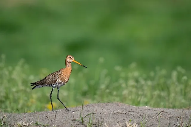 리모컨 리셋 방법 작동 안 될 때 해결책 정리_7