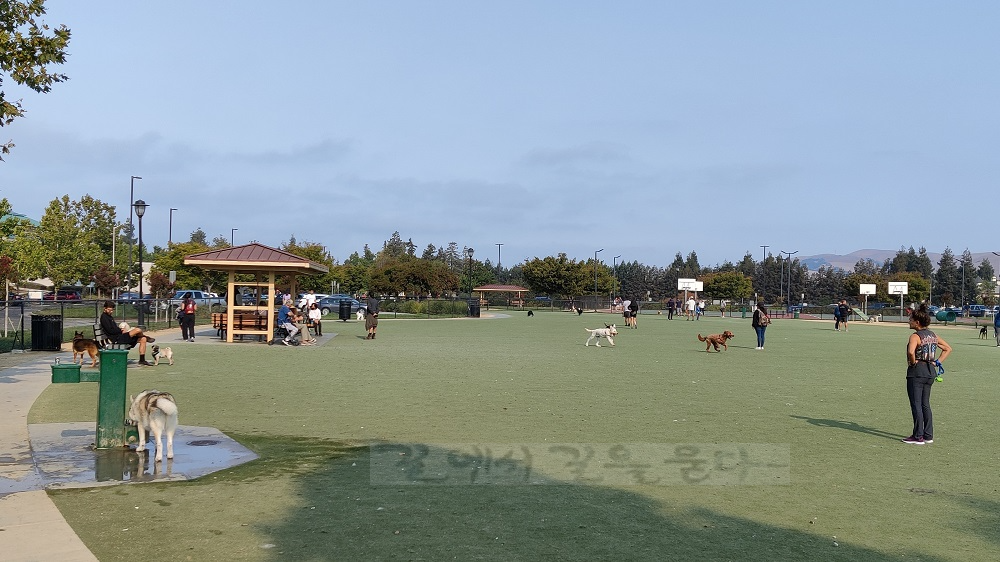 Fremont Dog Park,CA