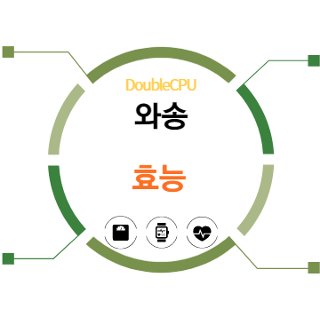 와송 효능 탐구