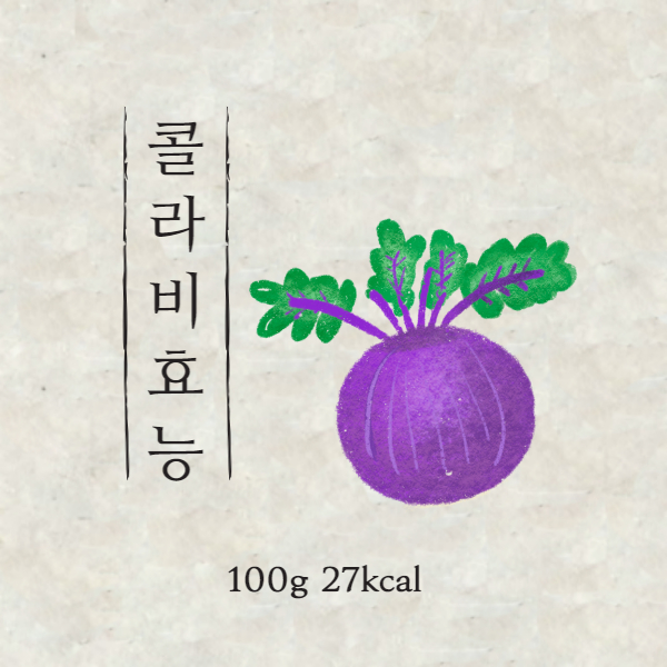 콜라비 효능│콜라비 효능 알고 드세요!